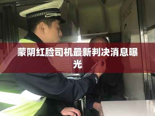 蒙陰紅臉司機最新判決消息曝光