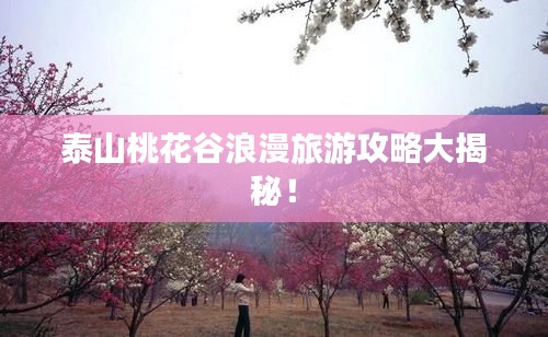 泰山桃花谷浪漫旅游攻略大揭秘！