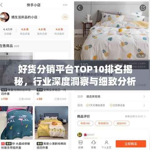 好貨分銷平臺TOP10排名揭秘，行業深度洞察與細致分析
