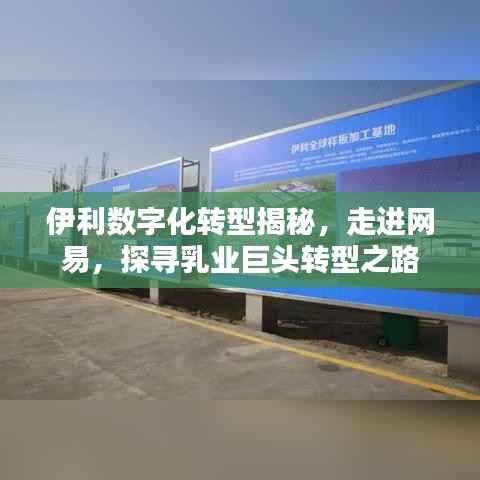 伊利數字化轉型揭秘，走進網易，探尋乳業巨頭轉型之路