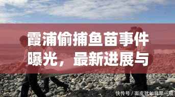 霞浦偷捕魚苗事件曝光，最新進展與細節揭秘