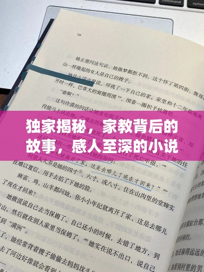 獨(dú)家揭秘，家教背后的故事，感人至深的小說(shuō)閱讀