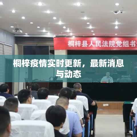 桐梓疫情實時更新，最新消息與動態(tài)