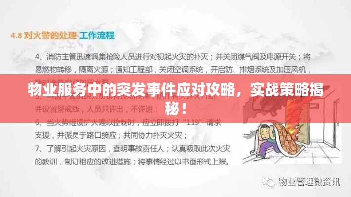 百鳥歸巢 第4頁