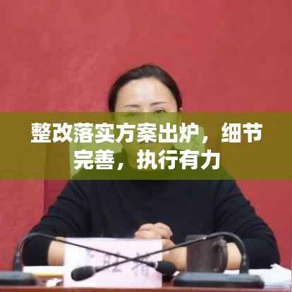 整改落實方案出爐，細節完善，執行有力