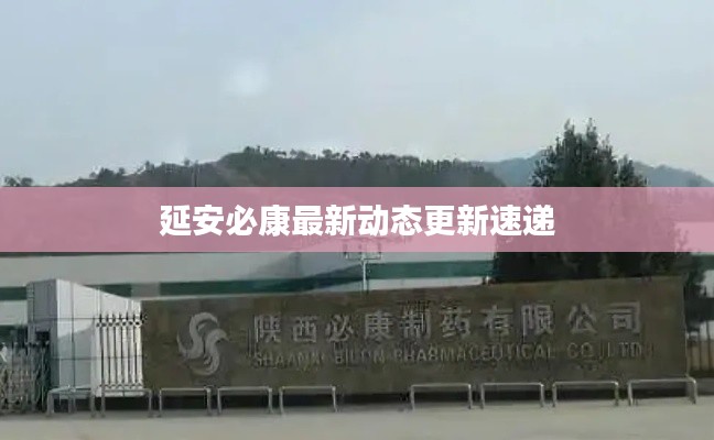 延安必康最新動態更新速遞