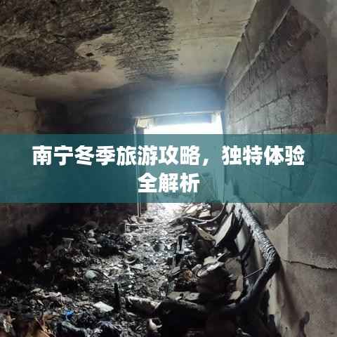 南寧冬季旅游攻略，獨(dú)特體驗(yàn)全解析