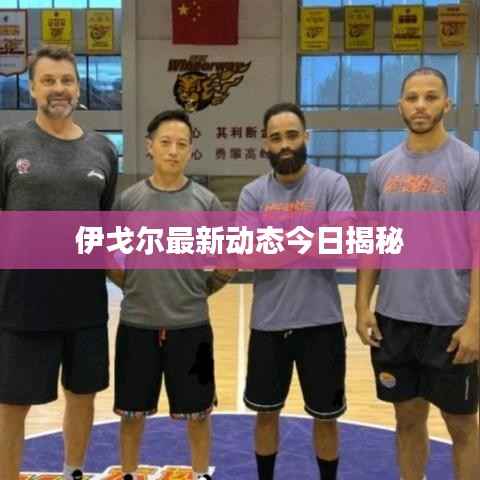 伊戈爾最新動態今日揭秘