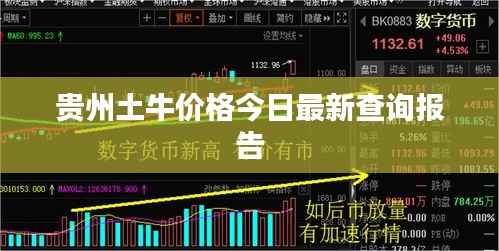 貴州土牛價格今日最新查詢報告