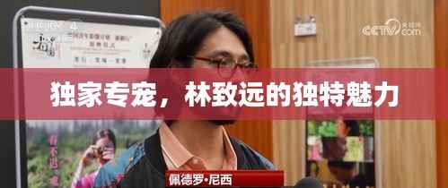 獨家專寵，林致遠的獨特魅力