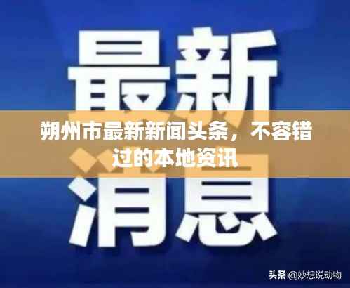 朔州市最新新聞?lì)^條，不容錯(cuò)過(guò)的本地資訊