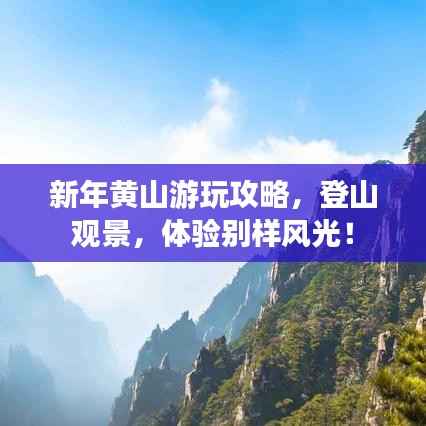 新年黃山游玩攻略，登山觀景，體驗別樣風光！