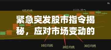 緊急突發股市指令揭秘，應對市場變動的關鍵策略指南