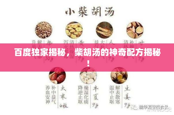 百度獨家揭秘，柴胡湯的神奇配方揭秘！