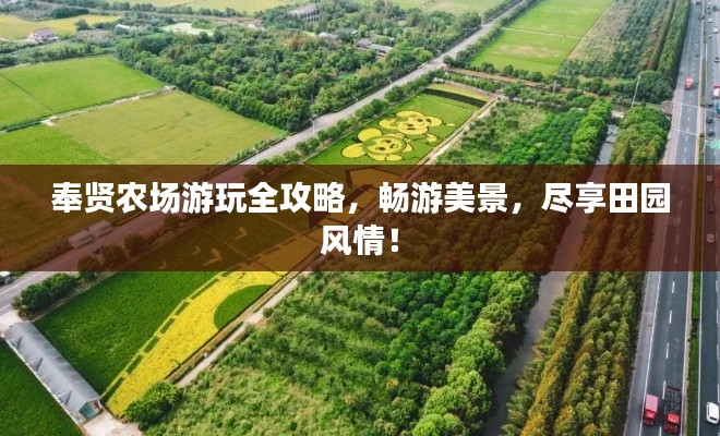 奉賢農場游玩全攻略，暢游美景，盡享田園風情！