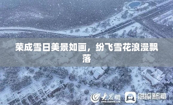 榮成雪日美景如畫，紛飛雪花浪漫飄落