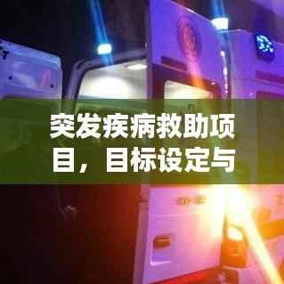 突發疾病救助項目，目標設定與實現之道