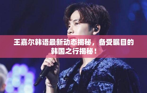 王嘉爾韓語最新動(dòng)態(tài)揭秘，備受矚目的韓國之行揭秘！