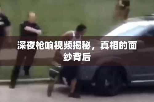 深夜槍響視頻揭秘，真相的面紗背后