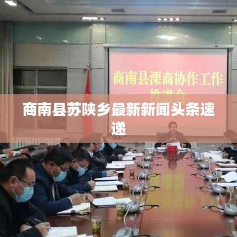 商南縣蘇陜鄉(xiāng)最新新聞頭條速遞