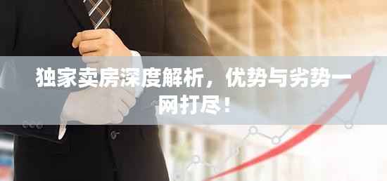獨家賣房深度解析，優勢與劣勢一網打盡！