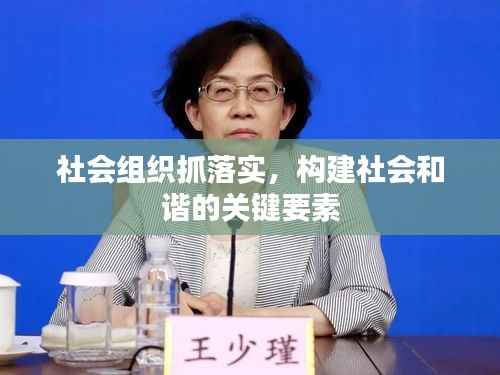 社會組織抓落實，構建社會和諧的關鍵要素