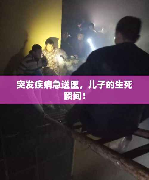 輕徙鳥舉 第4頁