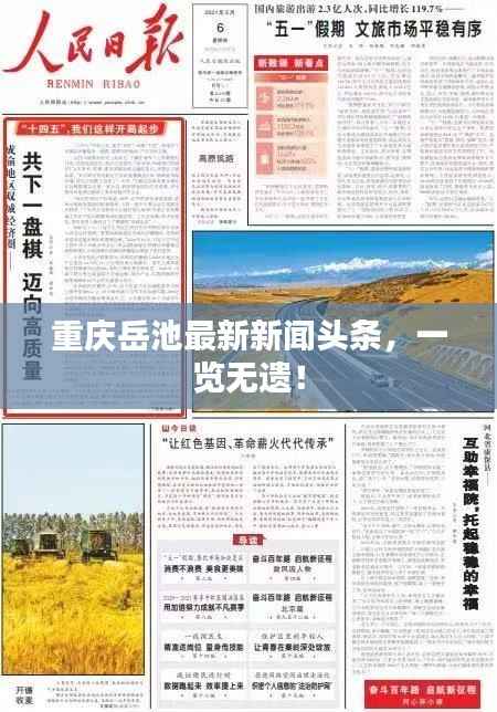 重慶岳池最新新聞頭條，一覽無遺！
