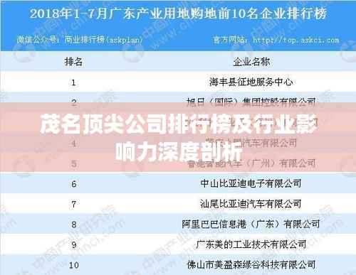 茂名頂尖公司排行榜及行業影響力深度剖析