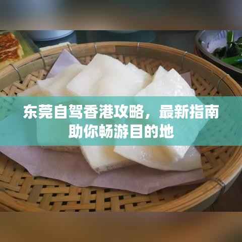 東莞自駕香港攻略，最新指南助你暢游目的地