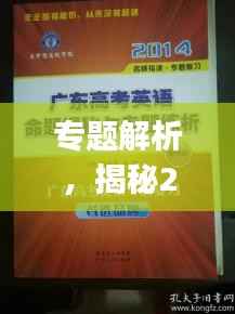 專題解析，揭秘24年專題Vlog的獨特魅力