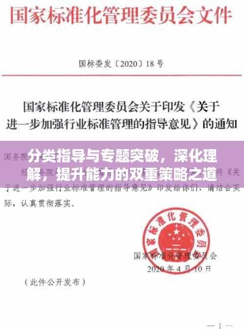 分類指導與專題突破，深化理解，提升能力的雙重策略之道