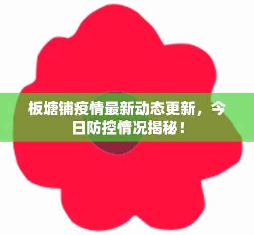 板塘鋪疫情最新動態更新，今日防控情況揭秘！