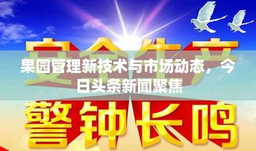 果園管理新技術與市場動態，今日頭條新聞聚焦