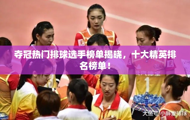 奪冠熱門(mén)排球選手榜單揭曉，十大精英排名榜單！