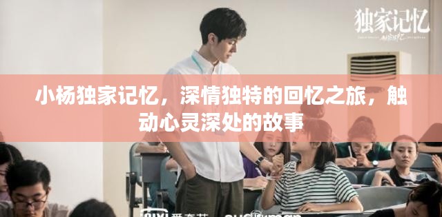 小楊獨家記憶，深情獨特的回憶之旅，觸動心靈深處的故事