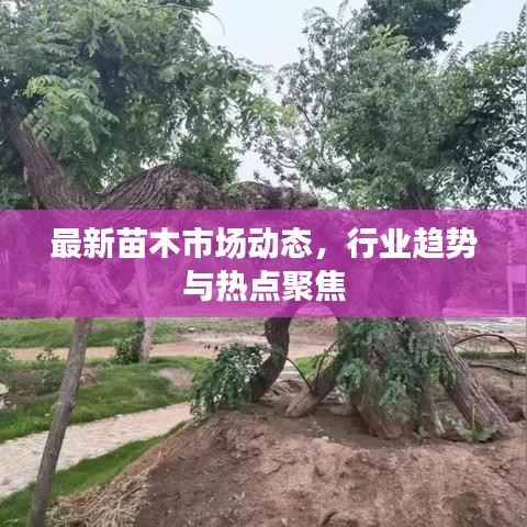 心急如焚 第4頁