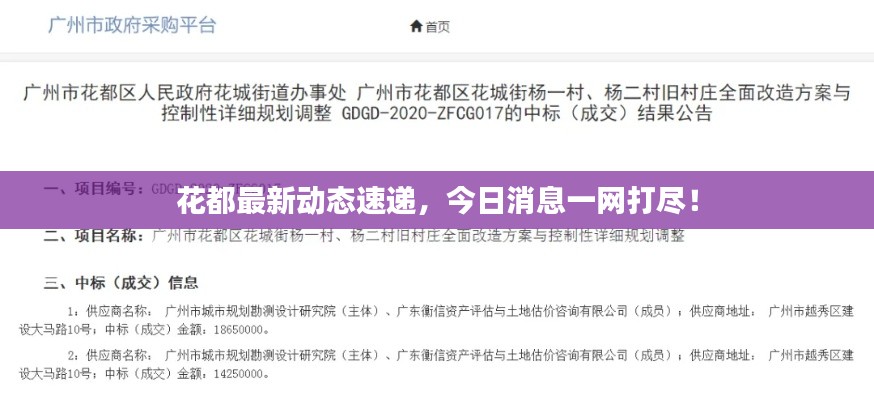 花都最新動態(tài)速遞，今日消息一網(wǎng)打盡！
