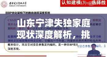 山東寧津失獨家庭現狀深度解析，挑戰與對策