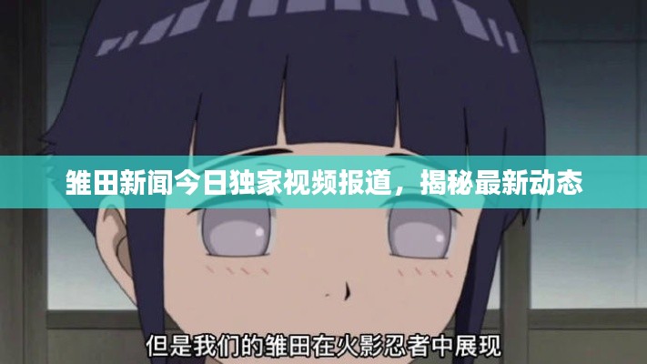 雛田新聞今日獨家視頻報道，揭秘最新動態