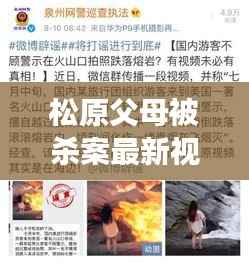 松原父母被殺案最新視頻曝光，深度解讀引發社會反思