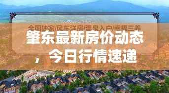 肇東最新房價動態，今日行情速遞