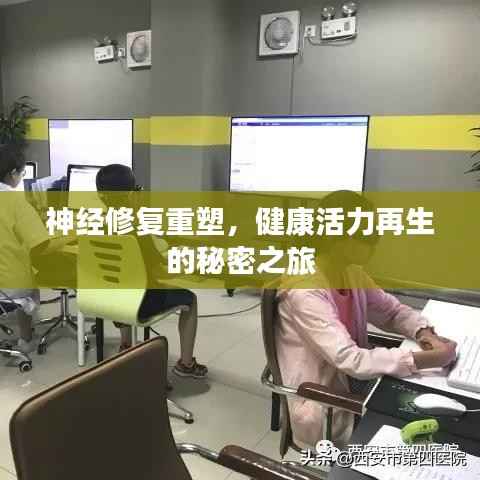 神經修復重塑，健康活力再生的秘密之旅