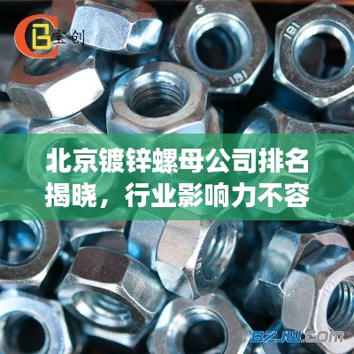 北京鍍鋅螺母公司排名揭曉，行業(yè)影響力不容小覷
