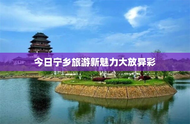 鳥驚魚駭 第5頁(yè)