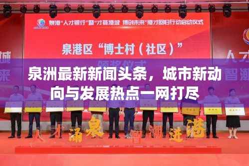 泉洲最新新聞頭條，城市新動向與發展熱點一網打盡