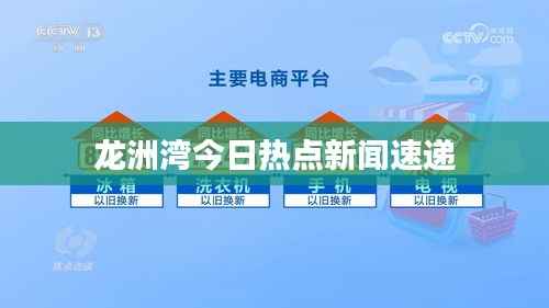 龍洲灣今日熱點新聞速遞