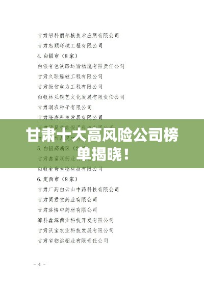 甘肅十大高風(fēng)險(xiǎn)公司榜單揭曉！