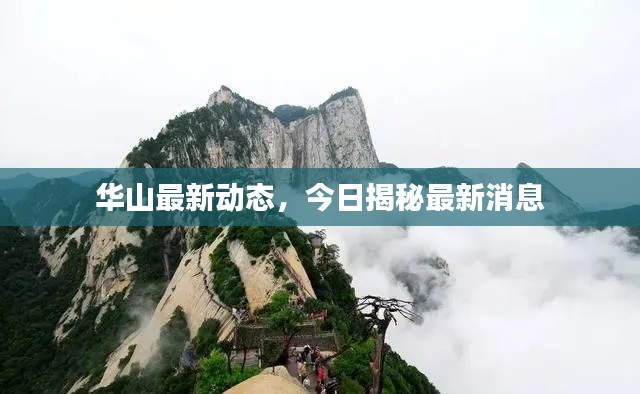 華山最新動(dòng)態(tài)，今日揭秘最新消息