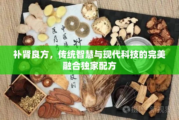 補腎良方，傳統智慧與現代科技的完美融合獨家配方